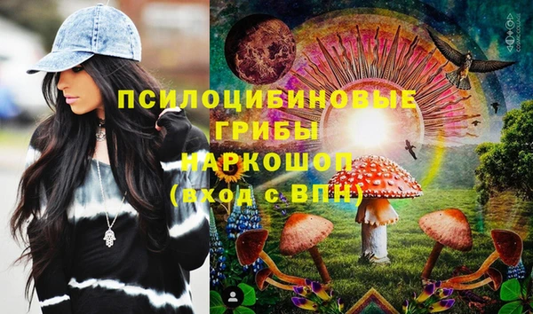 a pvp Богданович